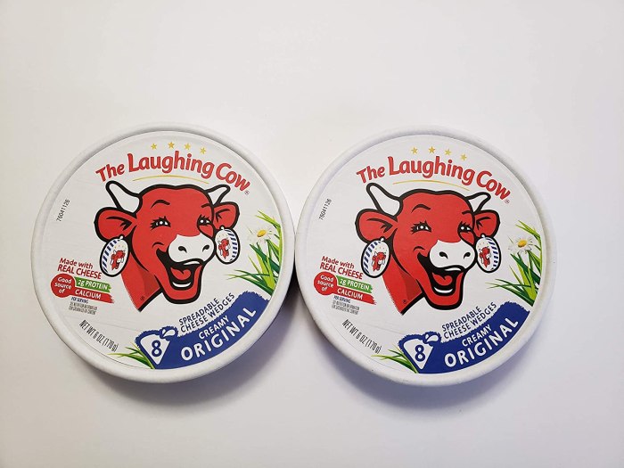 Laughing Cow Cheese Wedge Nutrition A Delicious Deep Dive