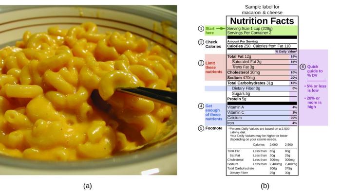 Homemade macaroni and cheese nutrition