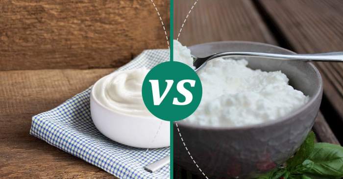 Cottage Cheese vs Greek Yogurt Nutrition