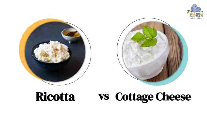 Ricotta vs cottage cheese nutrition